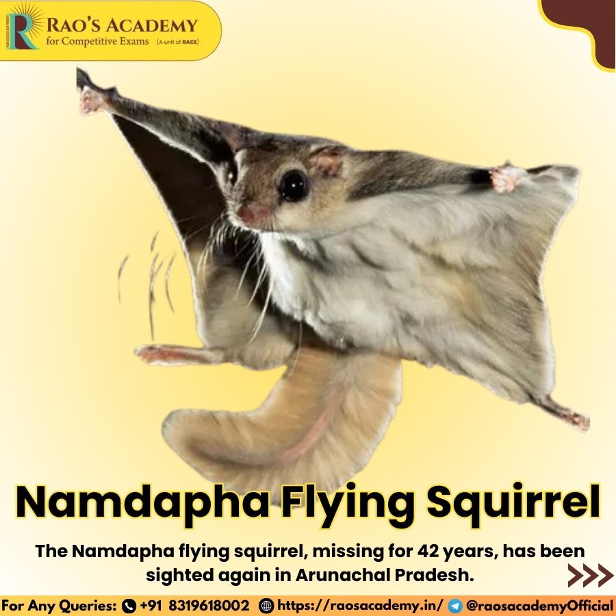 Namdapha Flying Squirrel